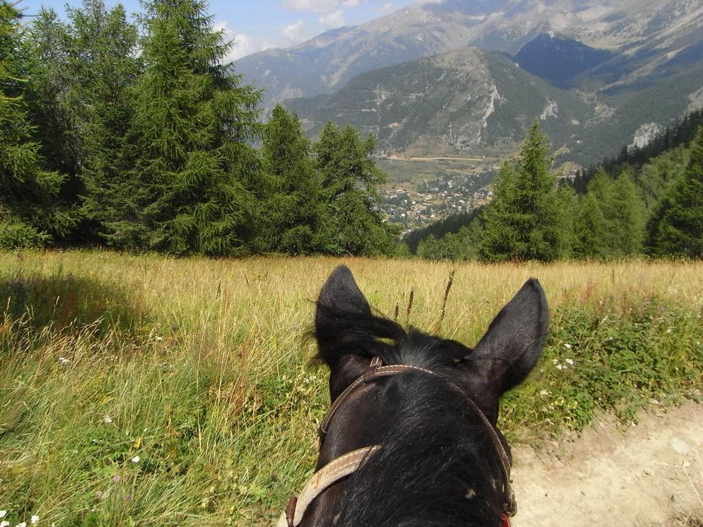 Gite Montagne Mercantour Villa Valdeblore Ngoại thất bức ảnh